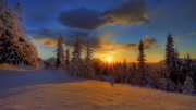 298179__winter-forest-snow-trees-sky-sunset-clouds-nature-beauty_p