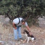 11-9-2016 Συνάντηση λέσχης κυνηγών με σπάμιεν και ριτρίβερ Ελλάδας